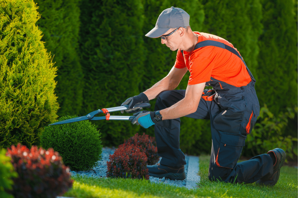 Landscaping Insurance in Massachusetts Haberman